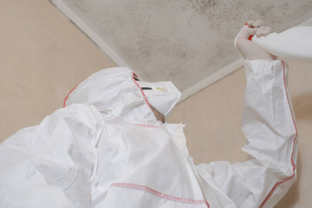 Best Mold Testing  in Paramus, NJ
